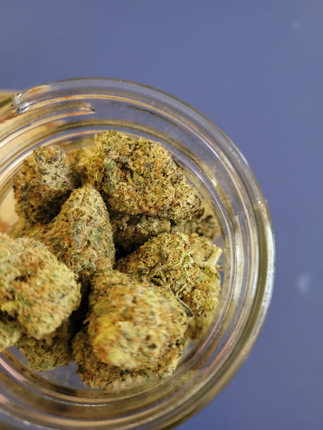 Customer photo review of MR 5 #2 - Indoor