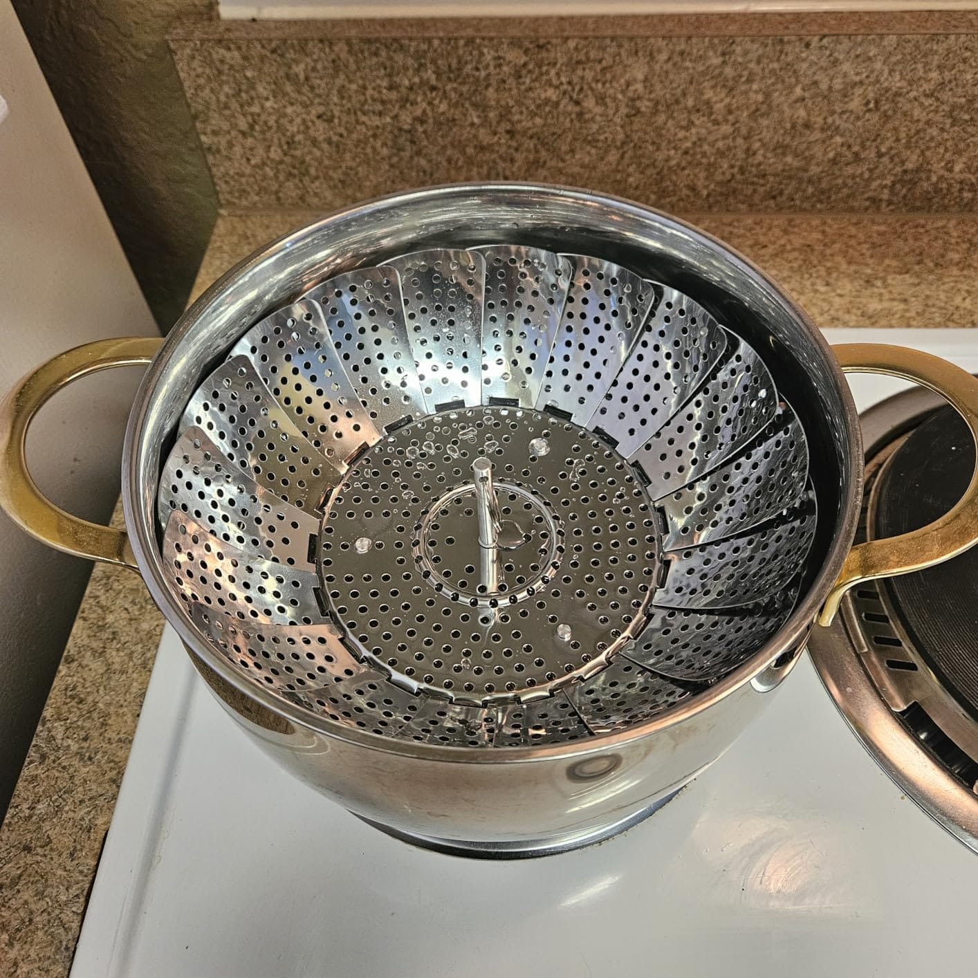 Customer photo review of SteamBloom™ Folding Steamer Basket: Turns Any Pot Into a Steamer