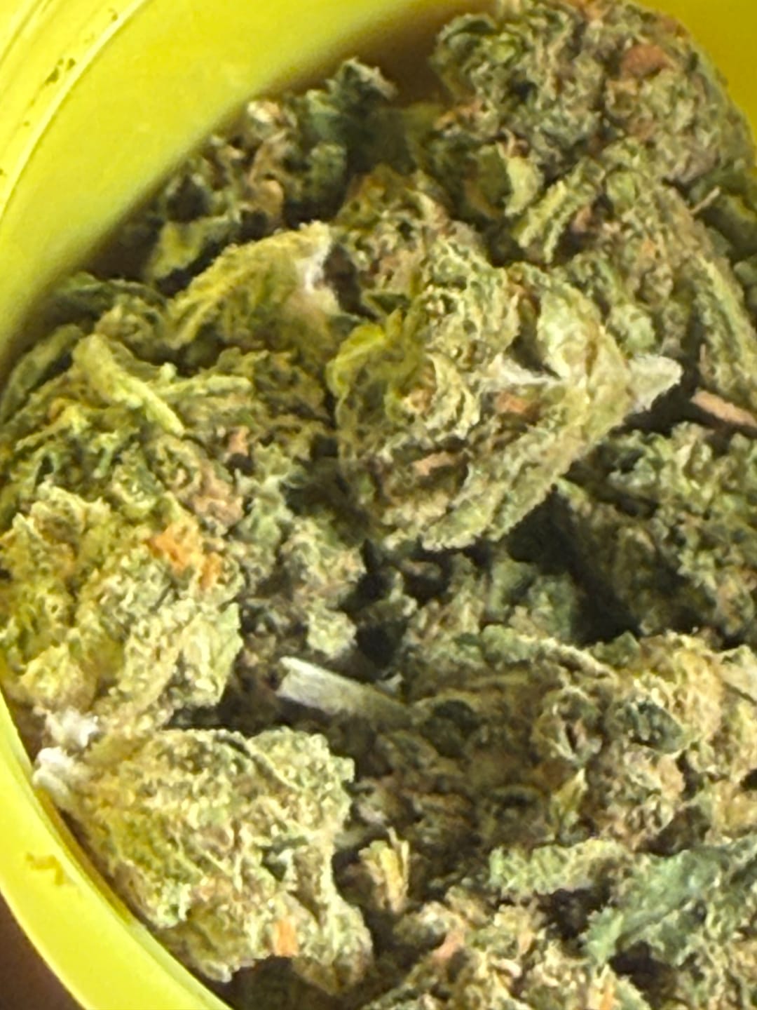 Customer photo review of Halle Berry - Bulk - Hybrid