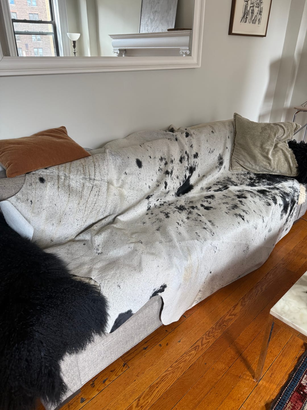 Customer photo review of SUPER SALE Black Salt & Pepper Natural Cowhide Rug - XX-Large 8' 1"H x 7' 4"W