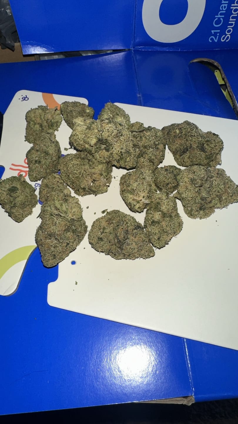 Customer photo review of Biscotti THCA Flower (Premium)