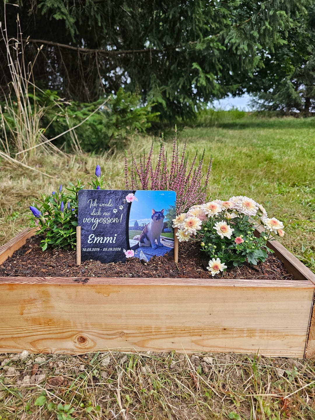 Customer photo review of Katzen Gedenktafel mit Foto & Spruch (UV- & Wetterfest)