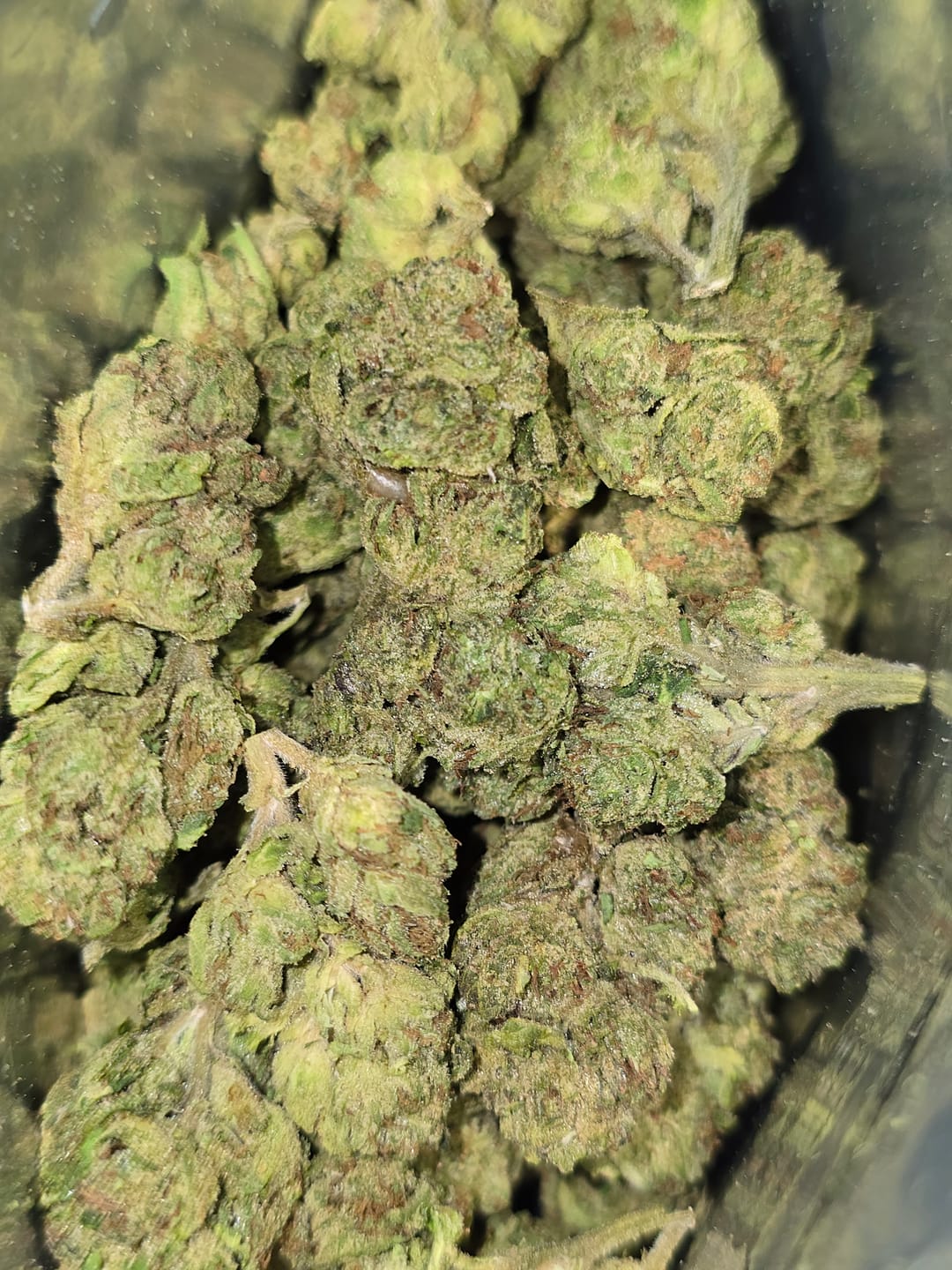 Customer photo review of Light Assist THCA Smalls