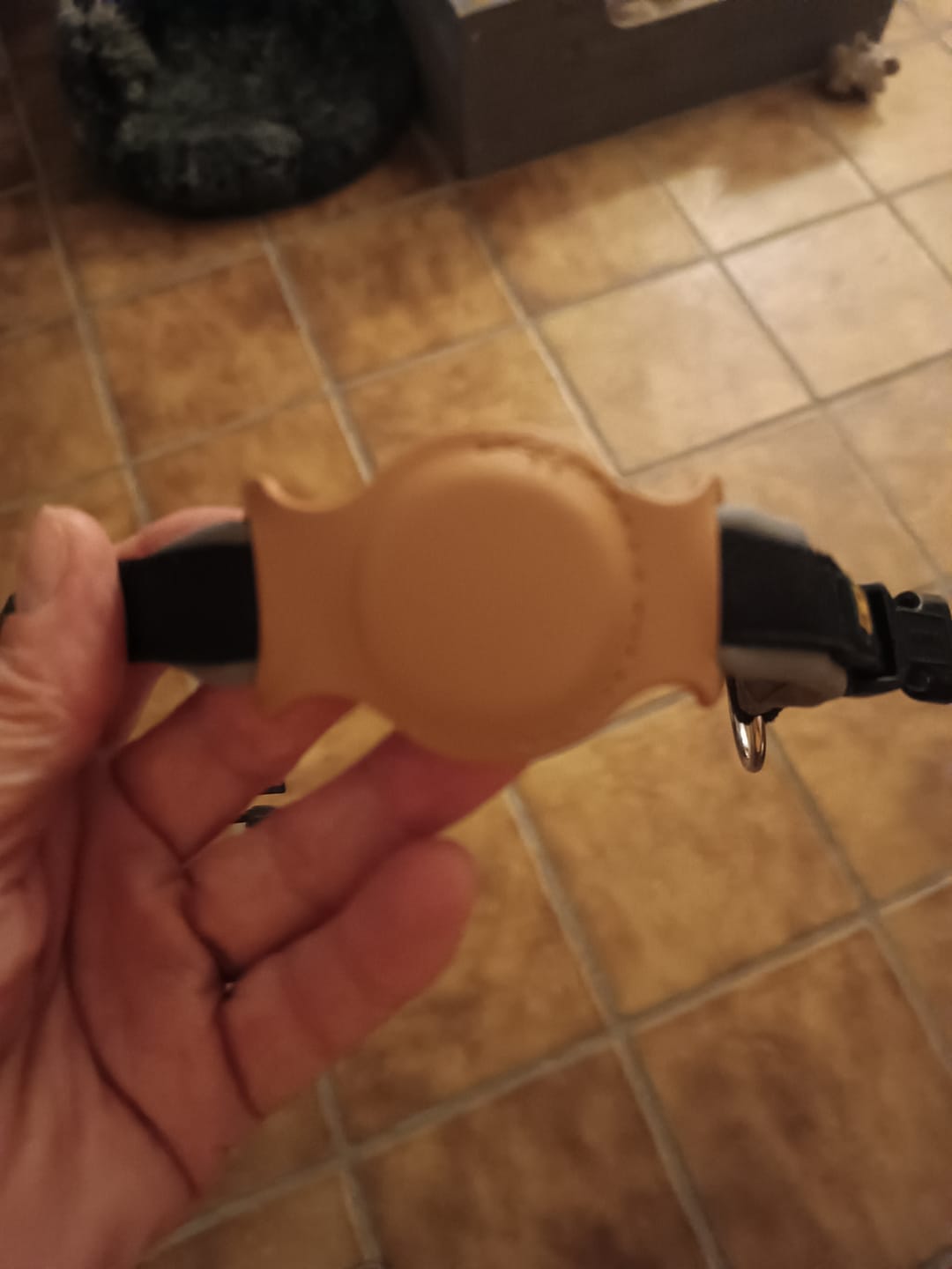 Customer photo review of Hunde GPS Tracker Abofrei – Ortung ohne Abo & monatliche Kosten