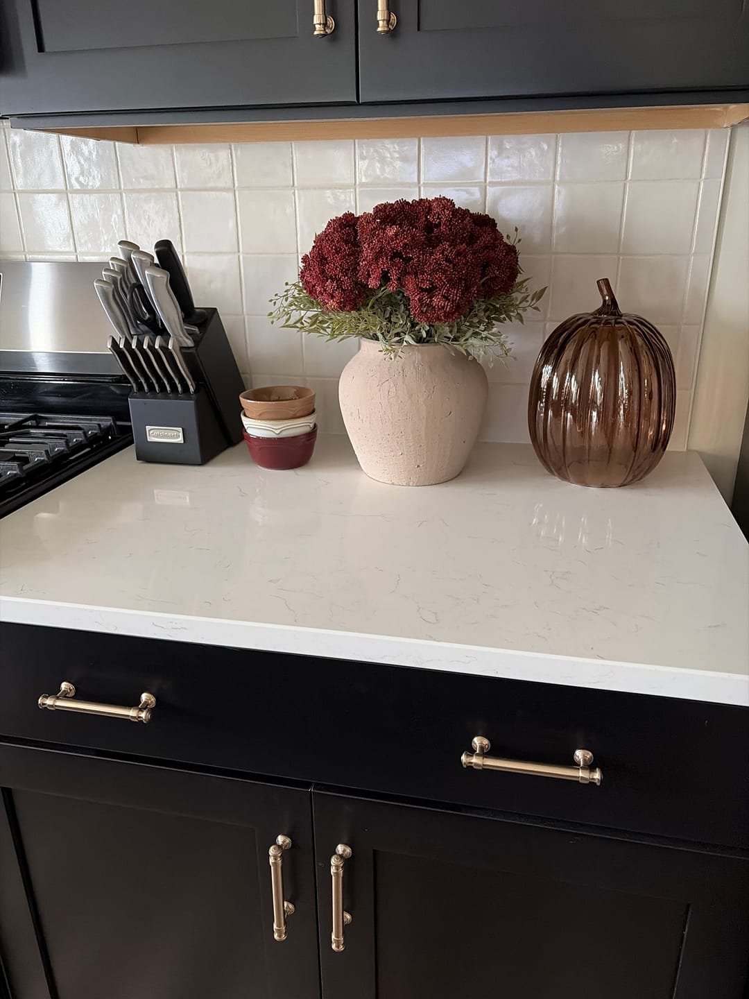 Customer photo review of Dusty Cranberry Seed Pod Bundle