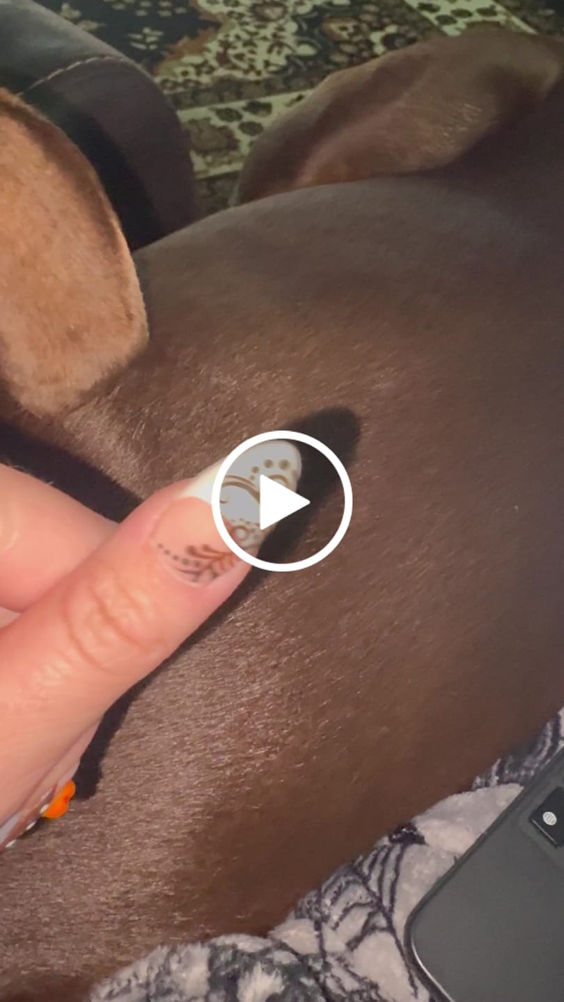 Customer video review of Kitten Parade 3D Press-On Nails