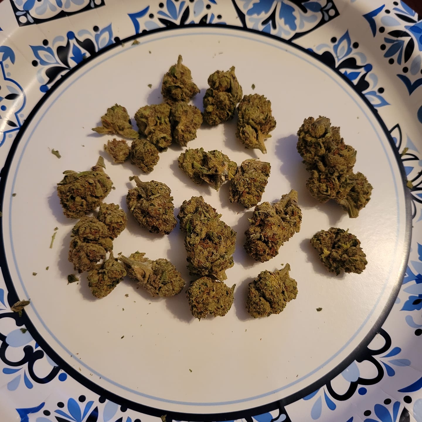 Customer photo review of Key Lime Jack - 14 Grams - Sativa