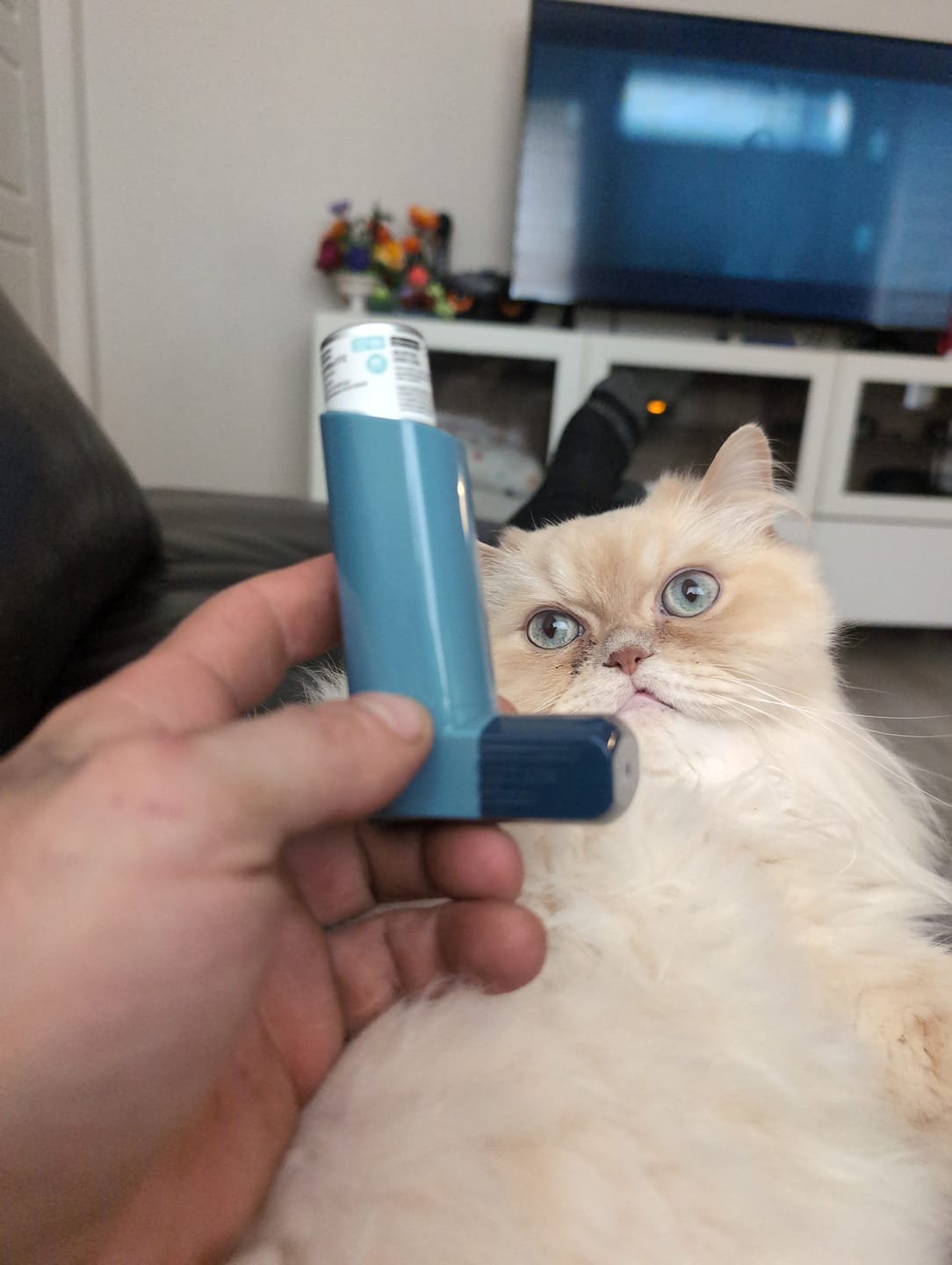 Customer photo review of Inhaler 510 Cart Battery + Cloud Filters