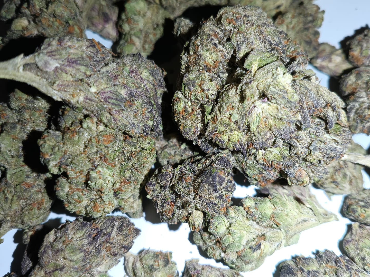Customer photo review of Hyper Za THCA Flower