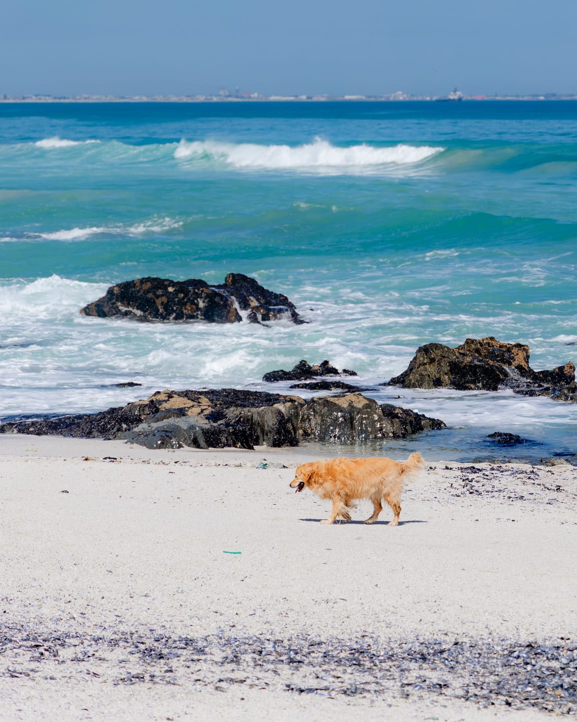 Customer photo review of Beachcore Preset Collection
