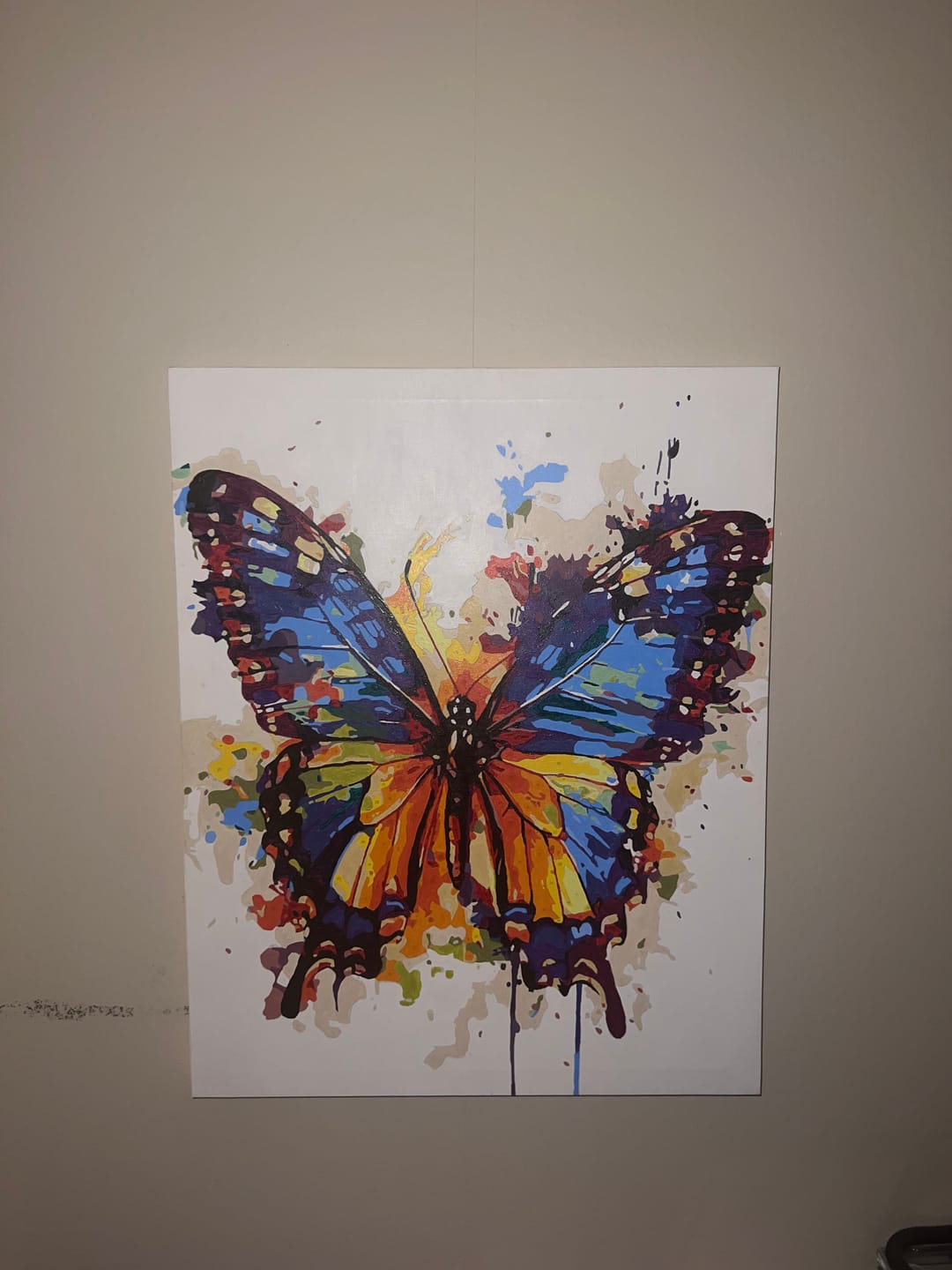 Customer photo review of Butterfly - Color splash | Paint by Numbers