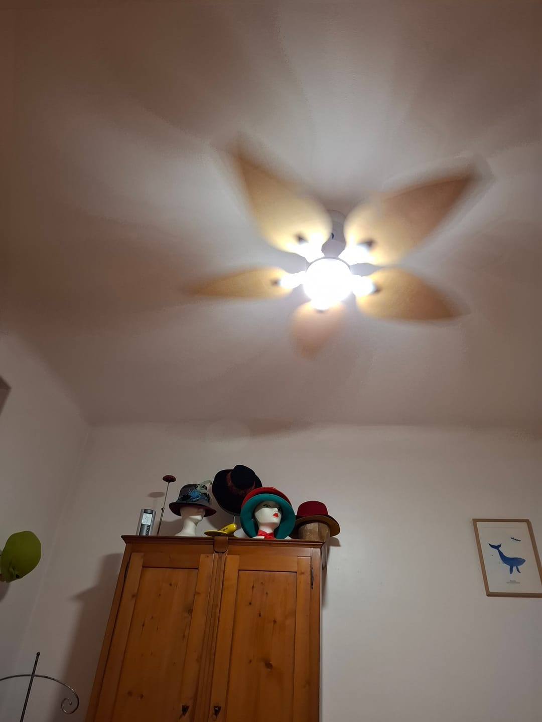 Photo de Judith F., cliente ou client Atelier Loupiote