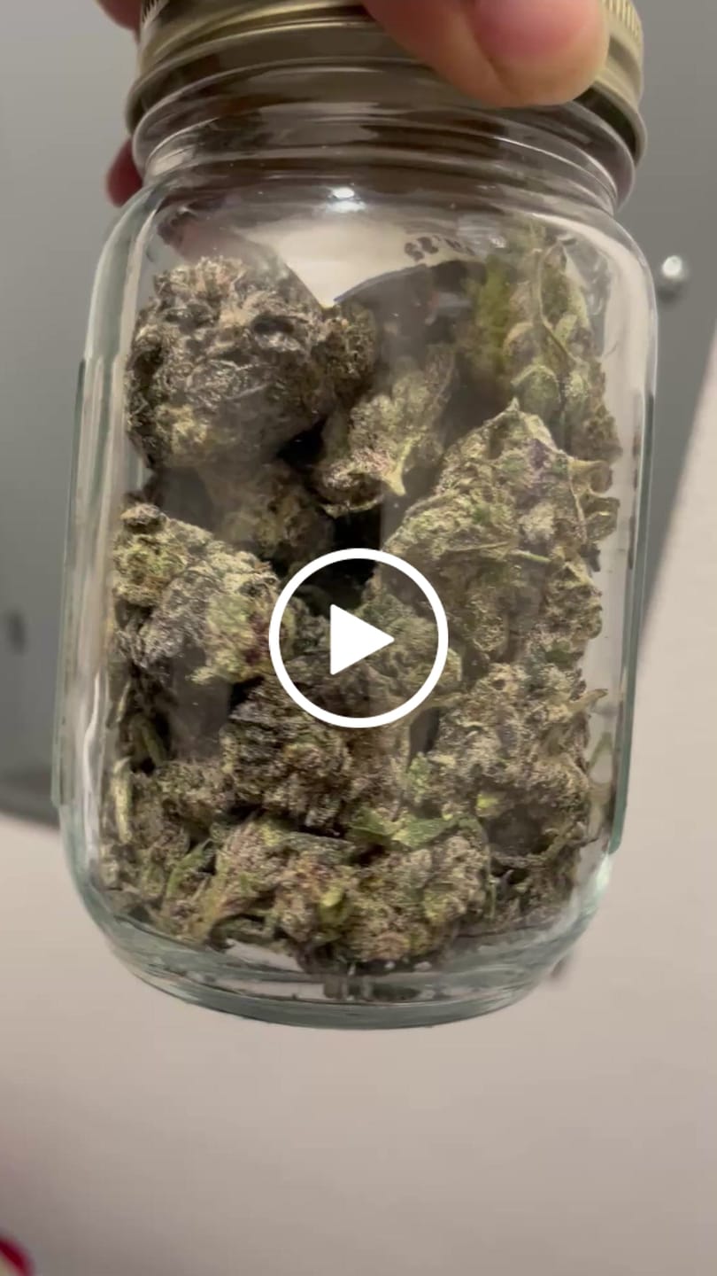 Customer video review of Blueberry THCA Flower (Exotic)