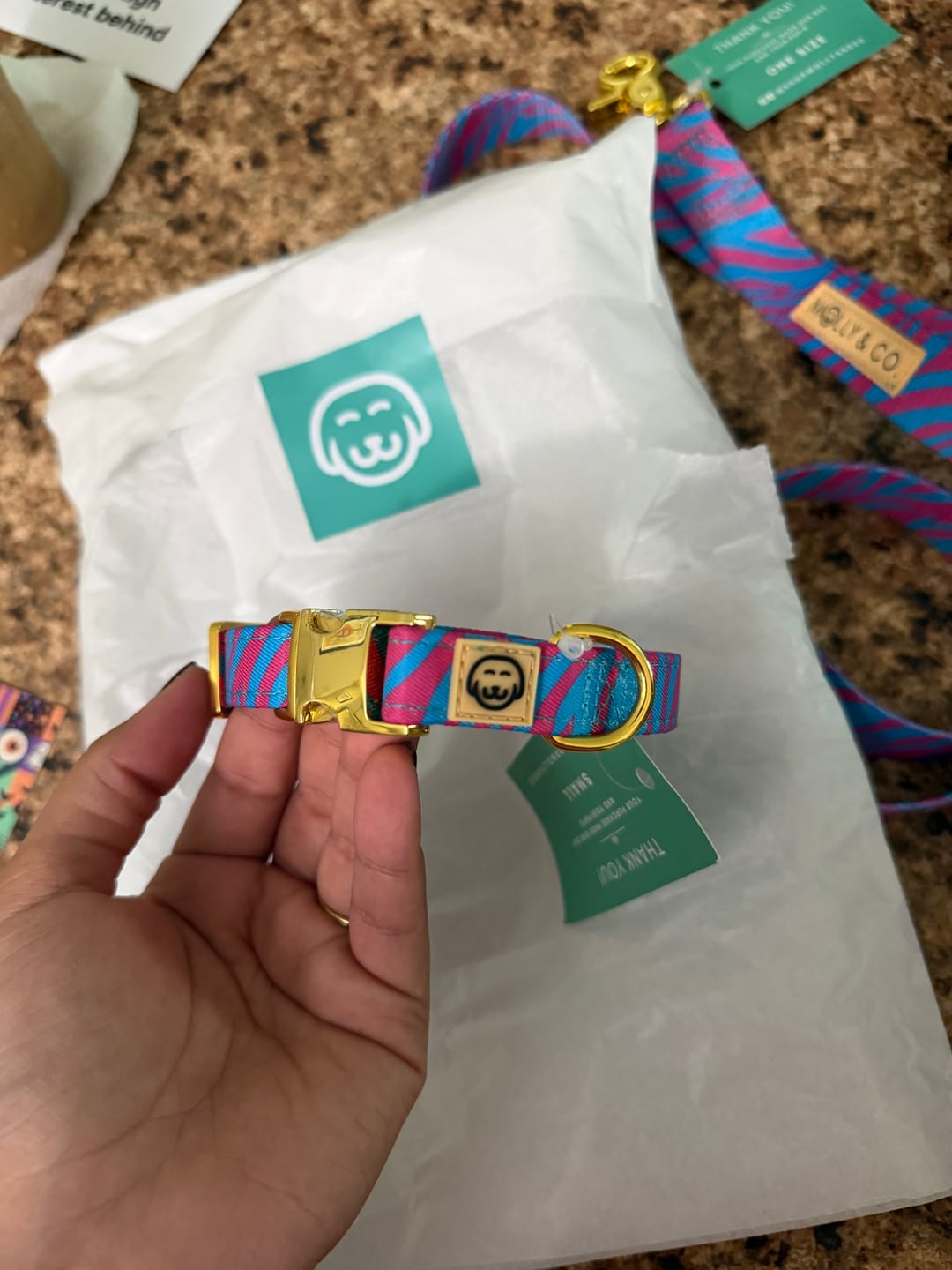 Customer photo review of Malibu Doll - Adjustable Dog Collar - FINAL SALE