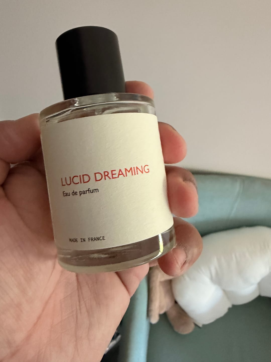 Customer photo review of Lucid Dreaming