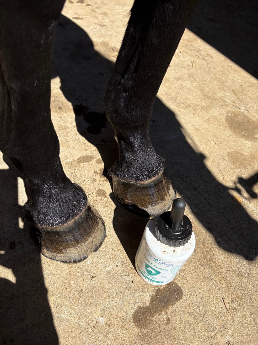 Customer photo review of Equine Hoof Serum - 16floz (Moisturizing Serum)