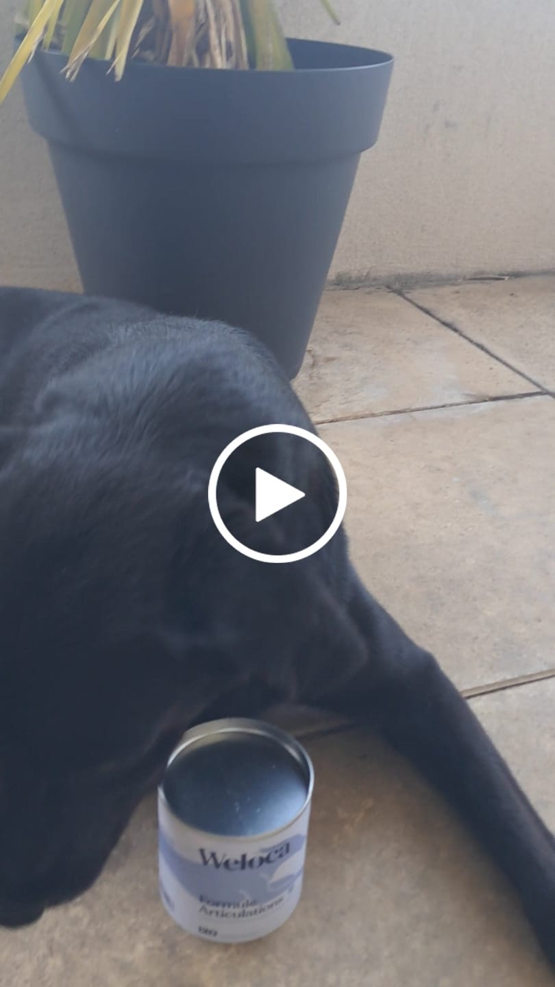 Customer video review of Complément articulations