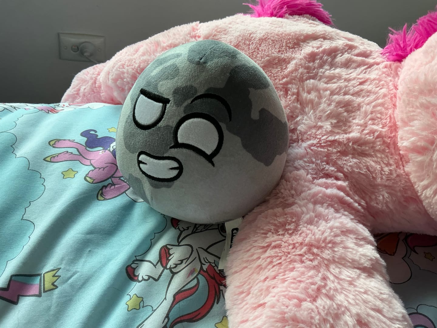 Customer photo review of The SolarBalls Moon Plush