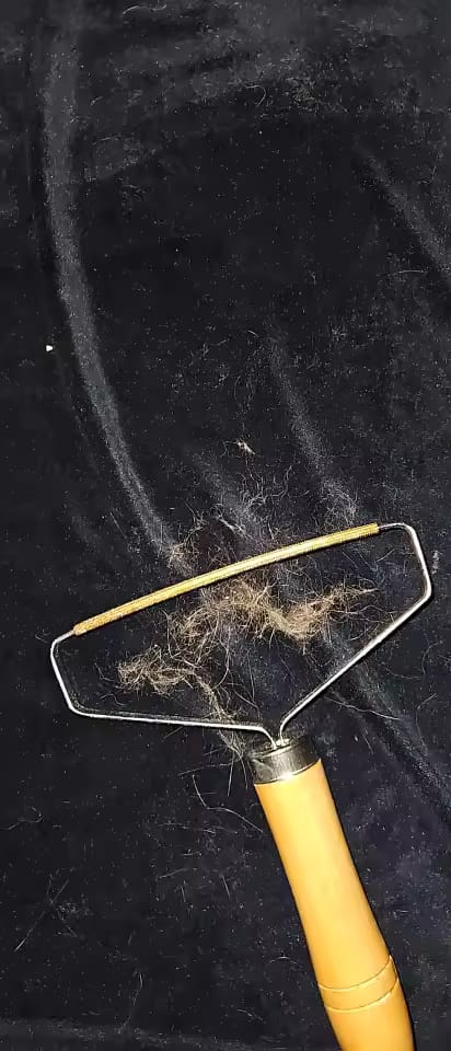 Customer photo review of Pet Hair Remover Brush