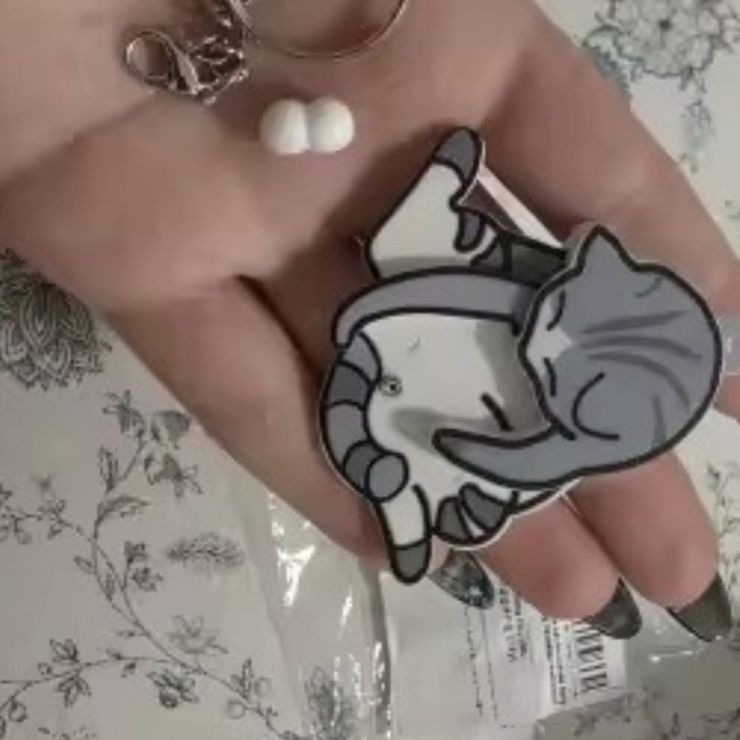 Customer photo review of Mischief Cat - Interactuve Cat Keychain