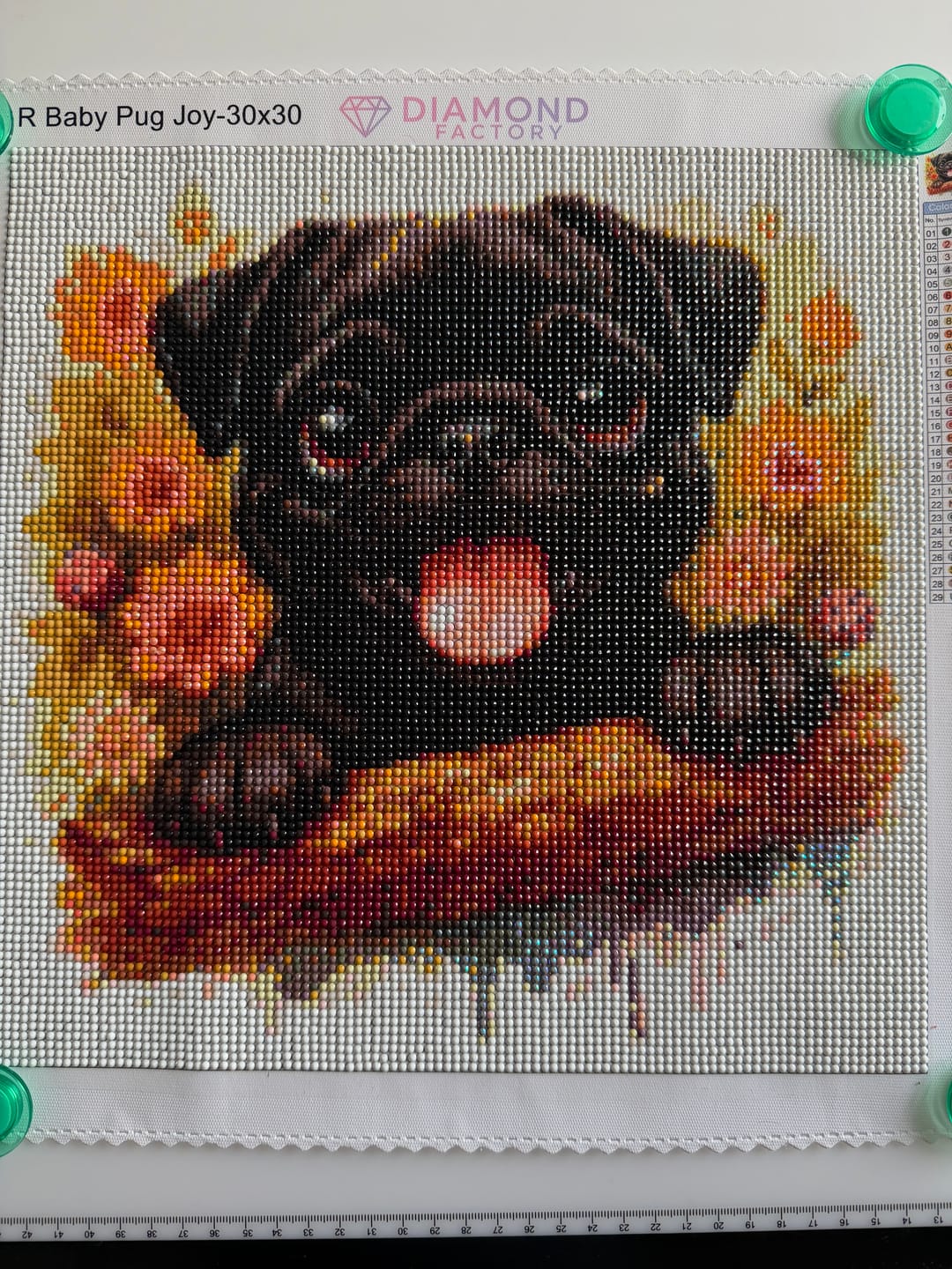 Customer photo review of Baby Pug Joy
