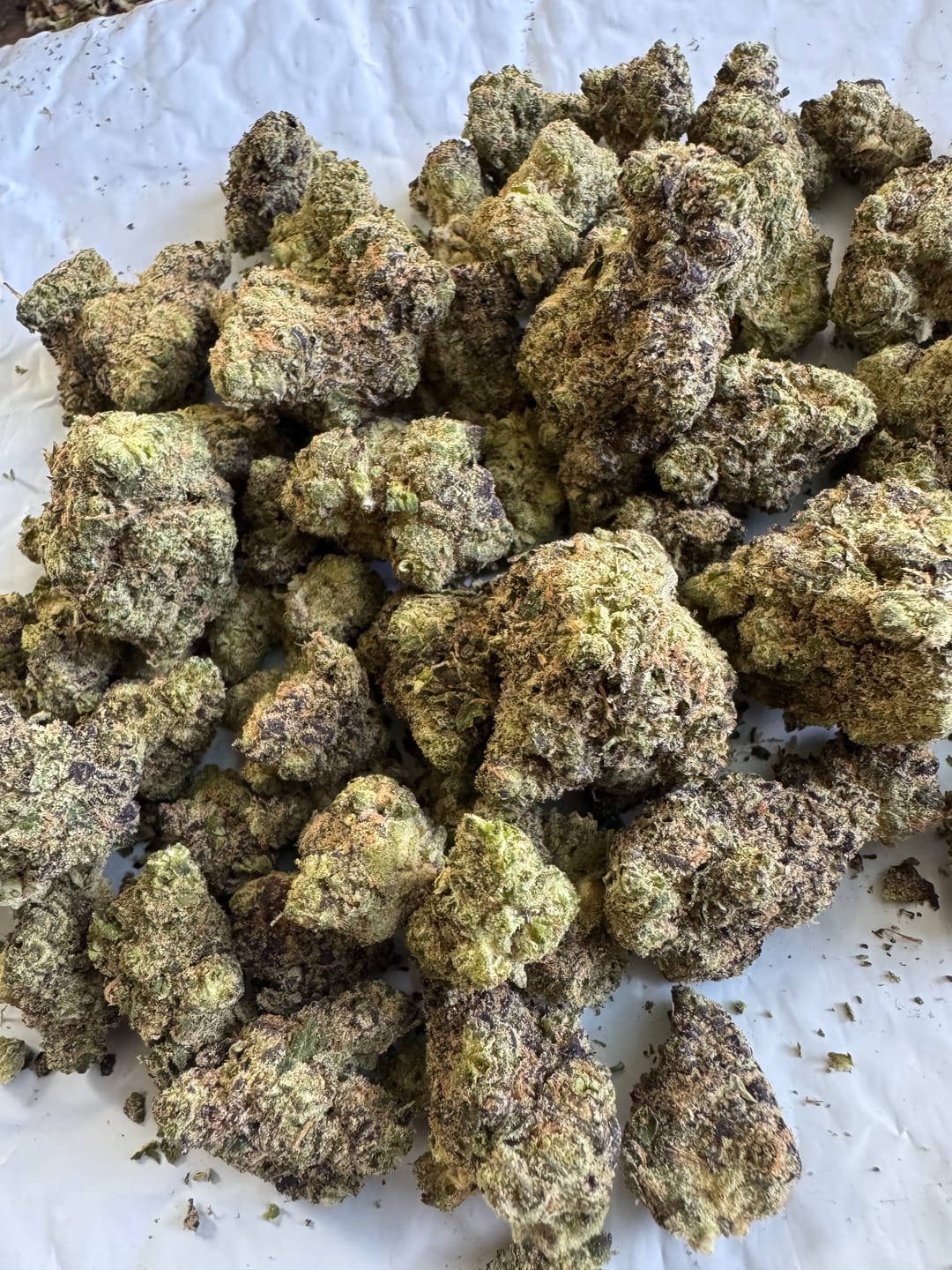 Customer photo review of KIND - Indoor Exotics - Hashburger - 28 Grams - Indica