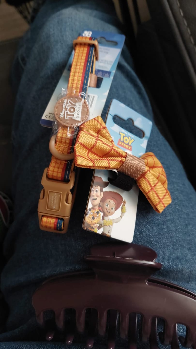 Customer photo review of Disney© Collar - Woody
