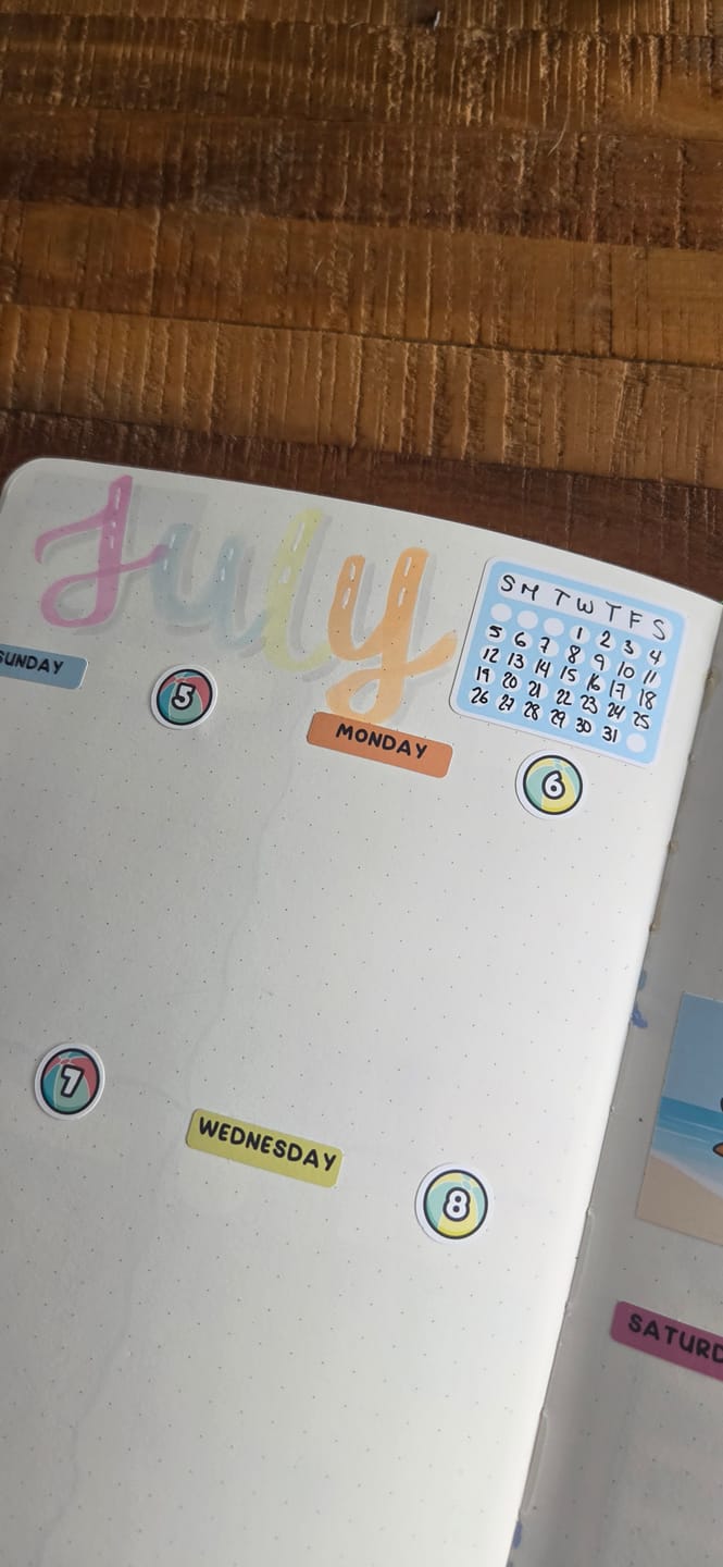 Customer photo review of Monthly Habit Tracker - Beach Birds Theme Palette