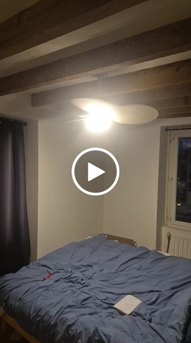 Customer video review of Lotus | Ventilateur de plafond – Ø 105 cm