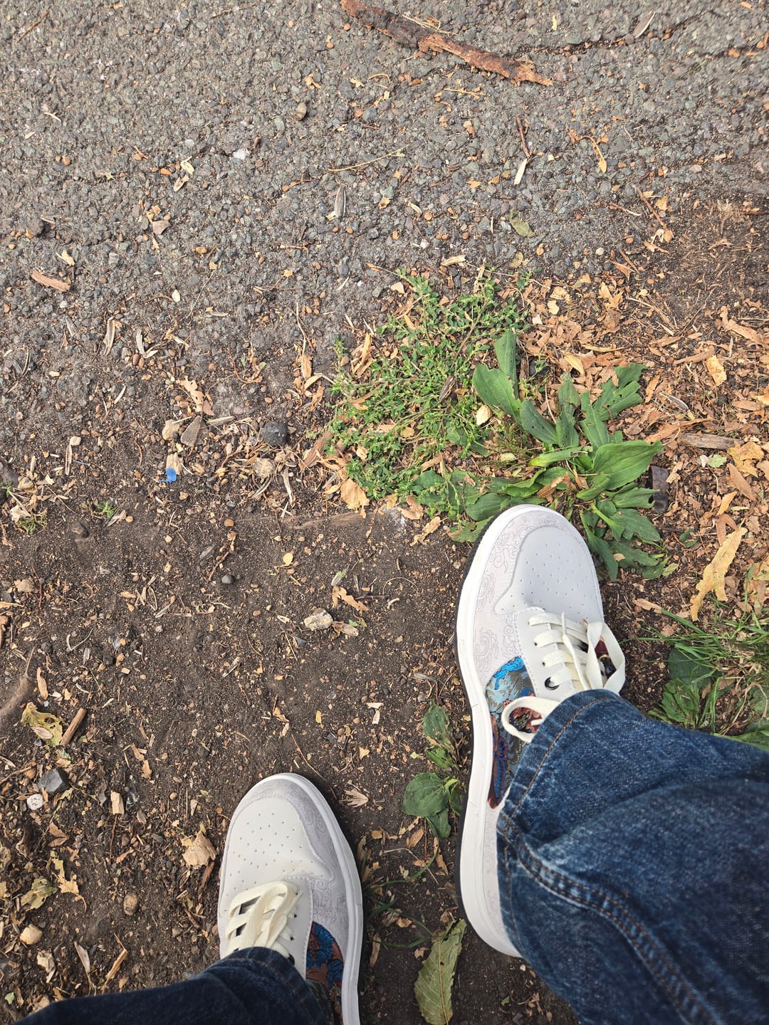 Customer photo review of Dunhuang Mythos Sneakers