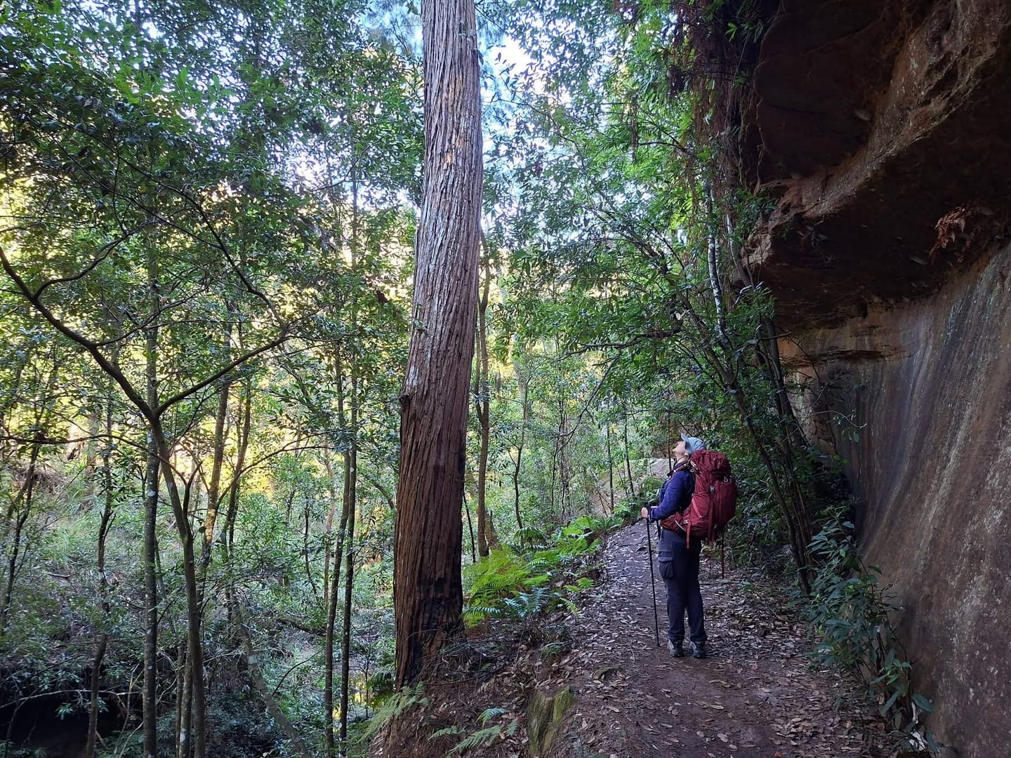 Customer photo review of Ultralight Carbon Hiking Poles Set