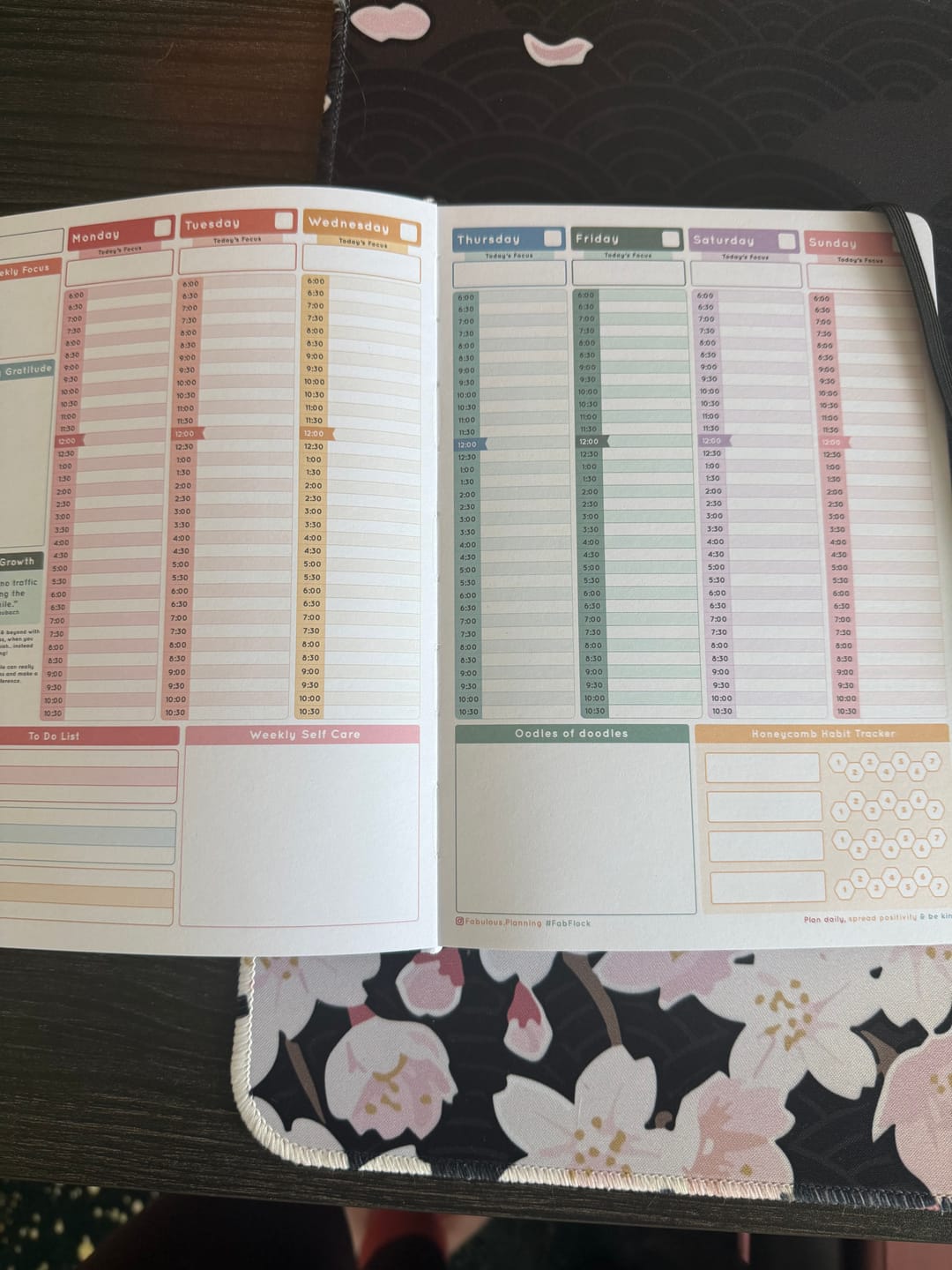 Customer photo review of Dalmatian - Planning Journal