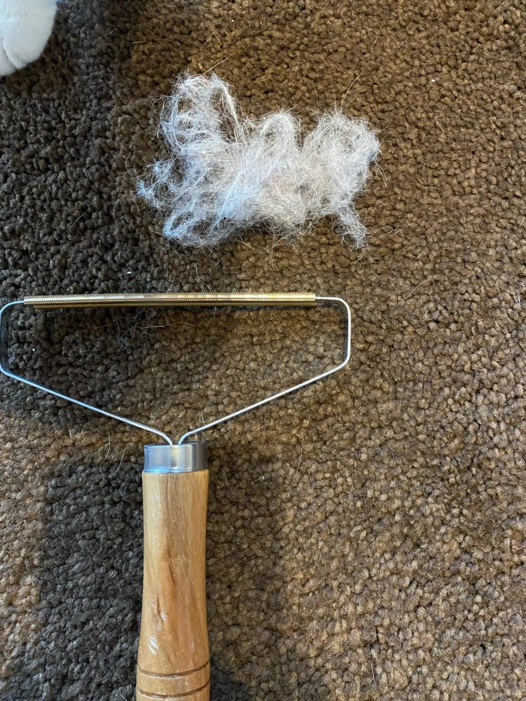 Customer photo review of Pet Hair Remover Brush