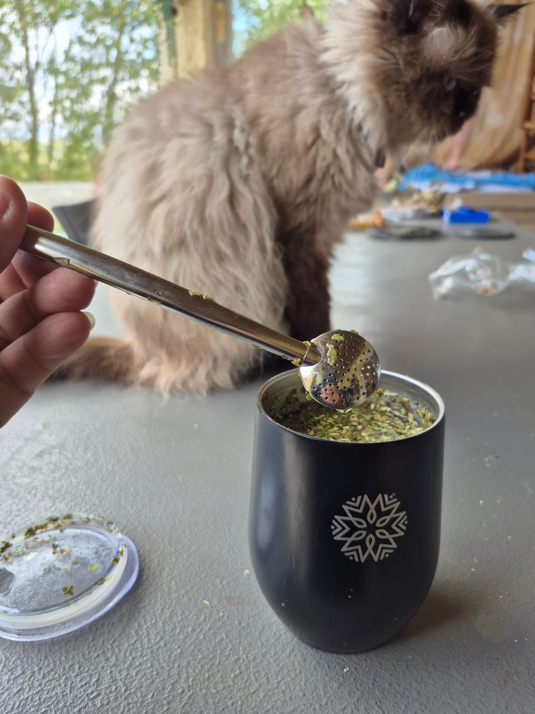 Customer photo review of Bombilla inox
