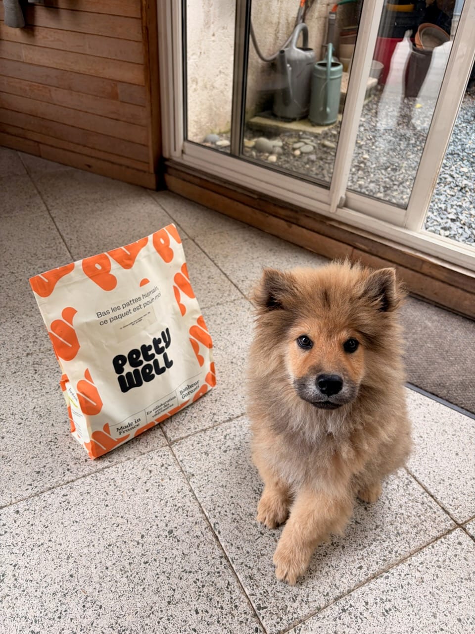 Customer photo review of Croquettes chien sans céréales saumon & thon toutes tailles