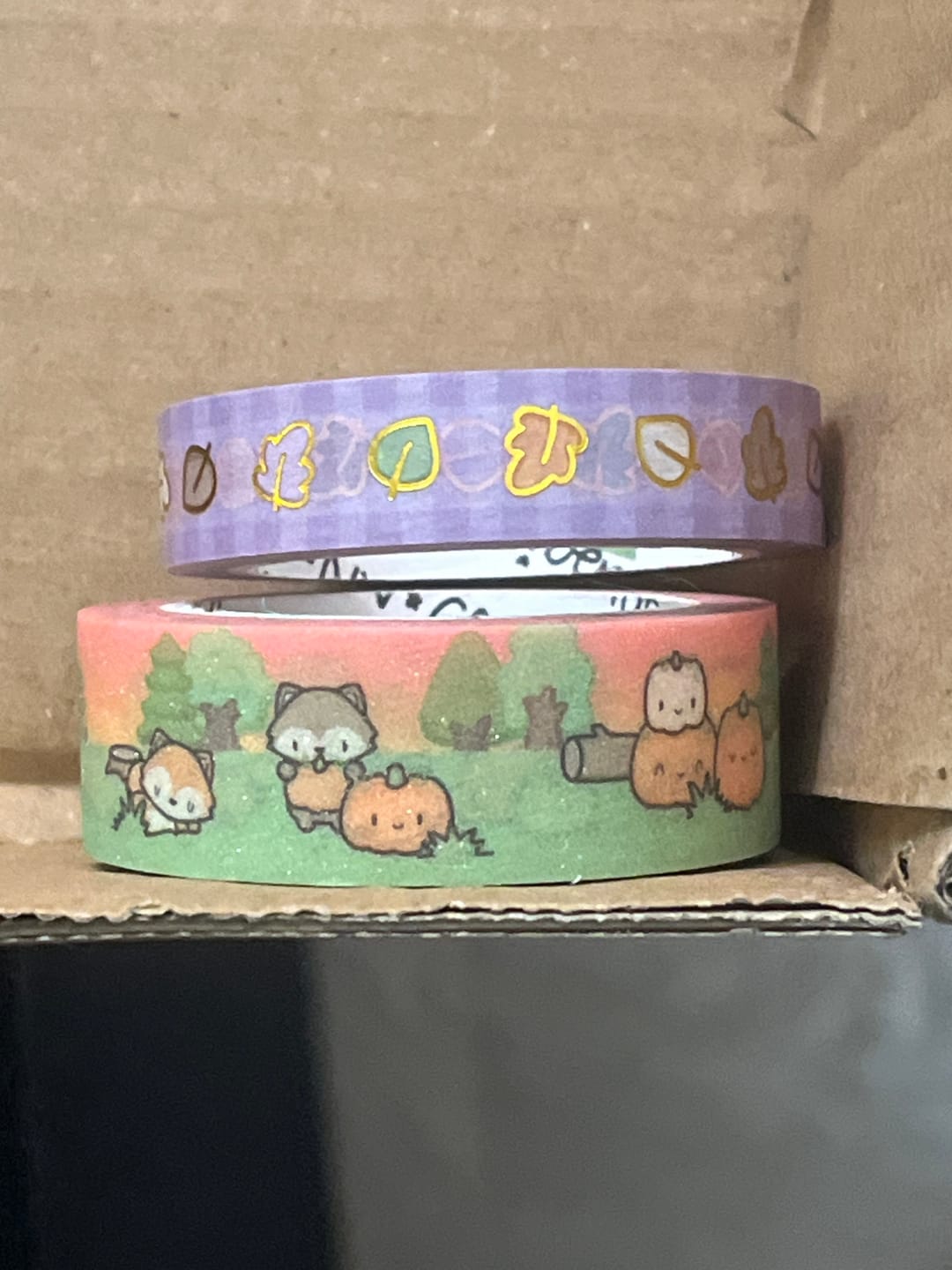 Customer photo review of Autumn Foxes Washi Tape (Set of 2)