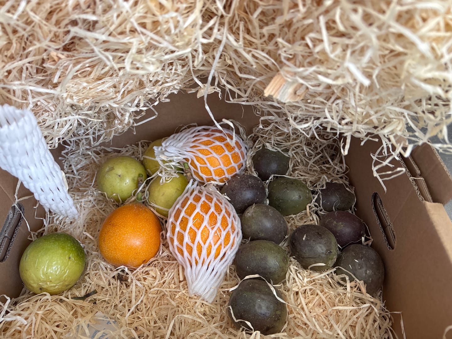 Customer photo review of "Passiflora Lovers" Maracuja-Mix Box