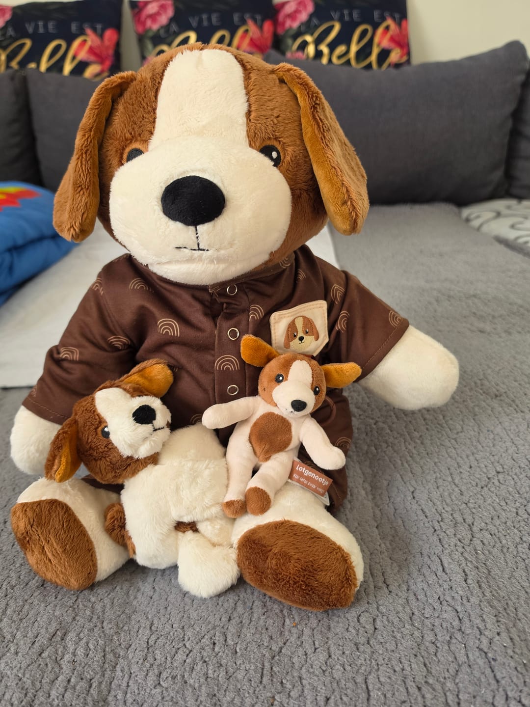 Customer photo review of Mini & Grote hond - Je bespaart €20