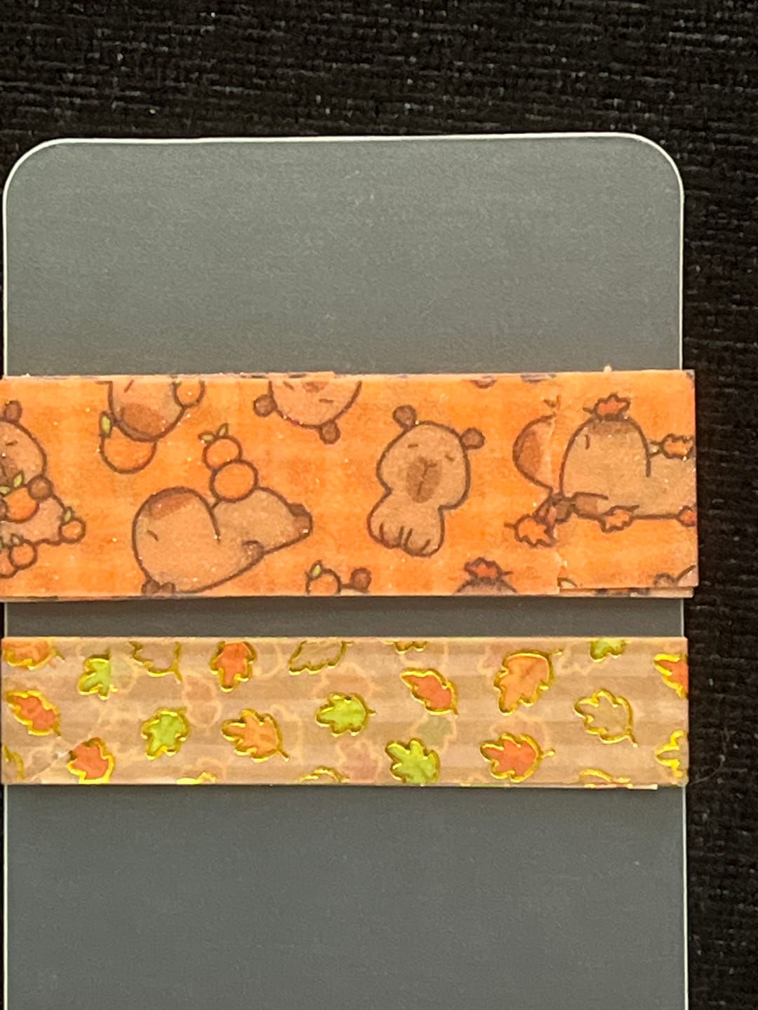 Customer photo review of Autumn Capybaras Washi Tapes (Set of 2)