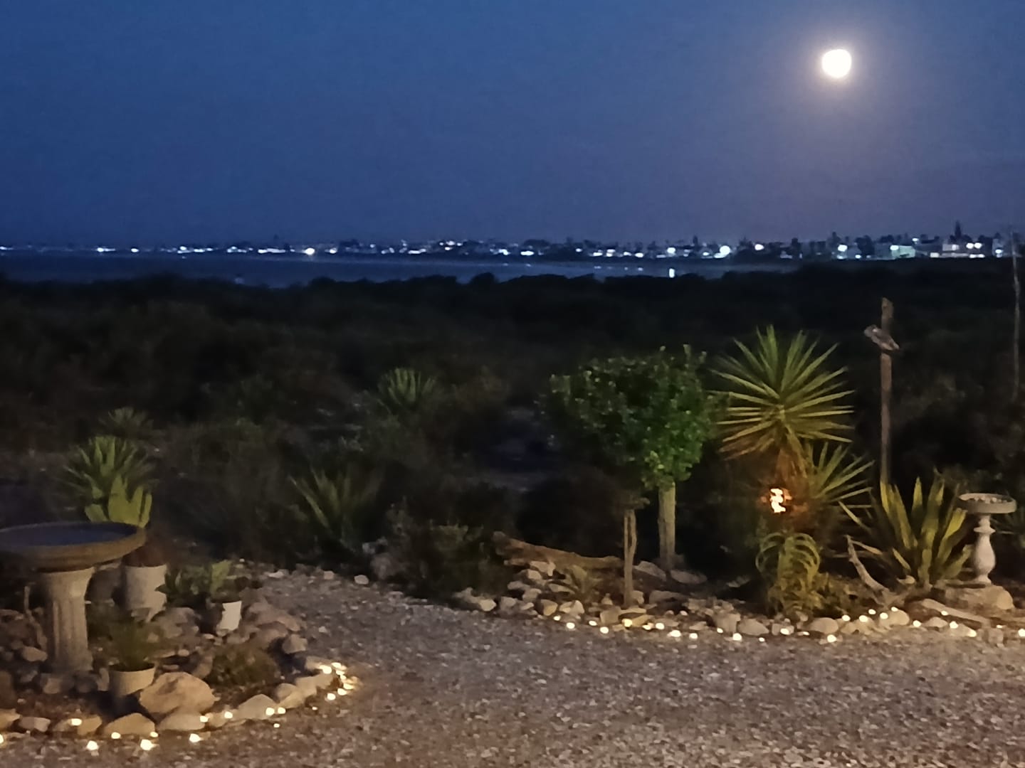 Customer photo review of Black String Solar Fairy Lights