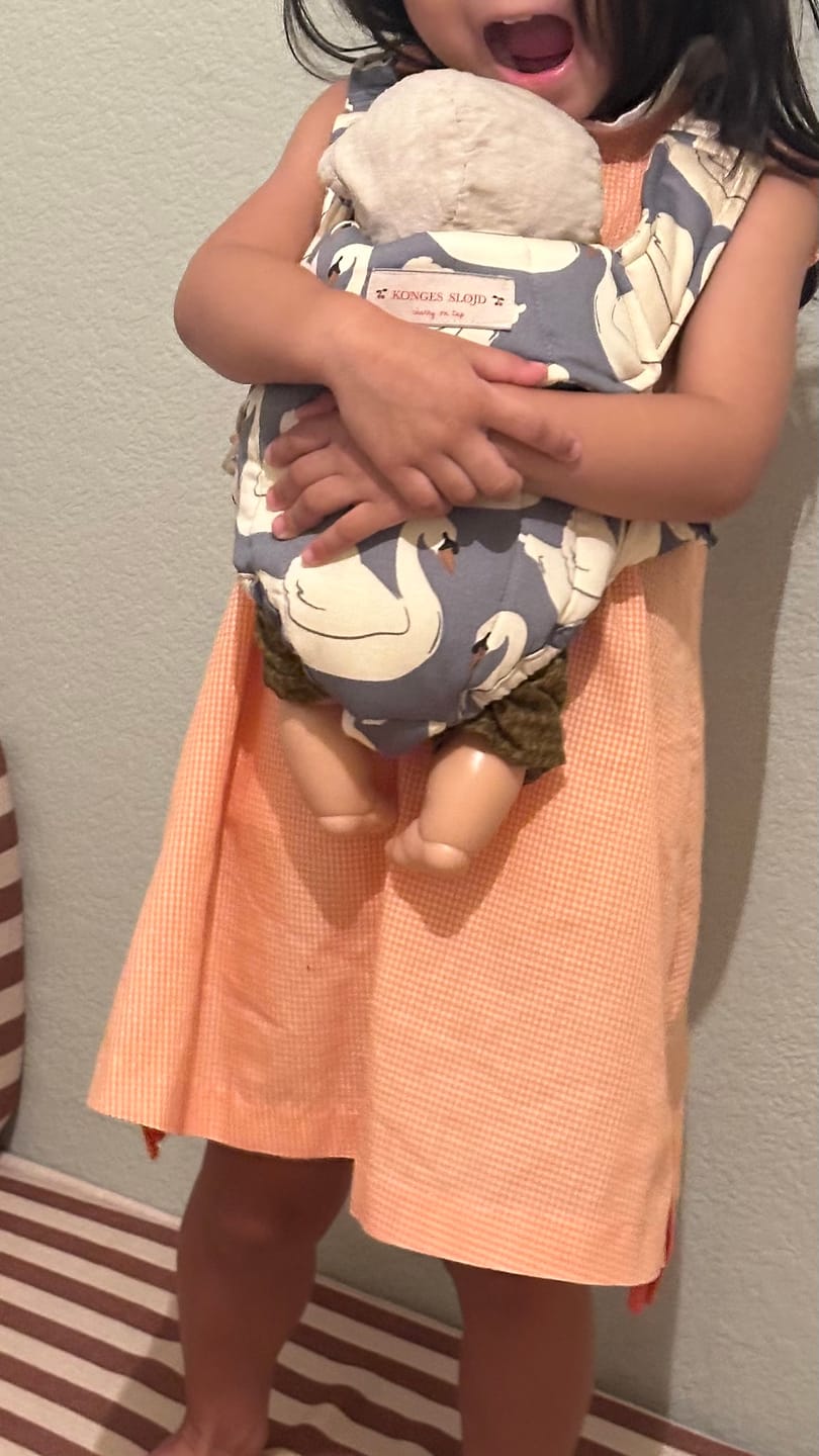 Customer photo review of Doll Carrier - Swan