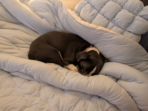 Customer photo review of Puff Pillow