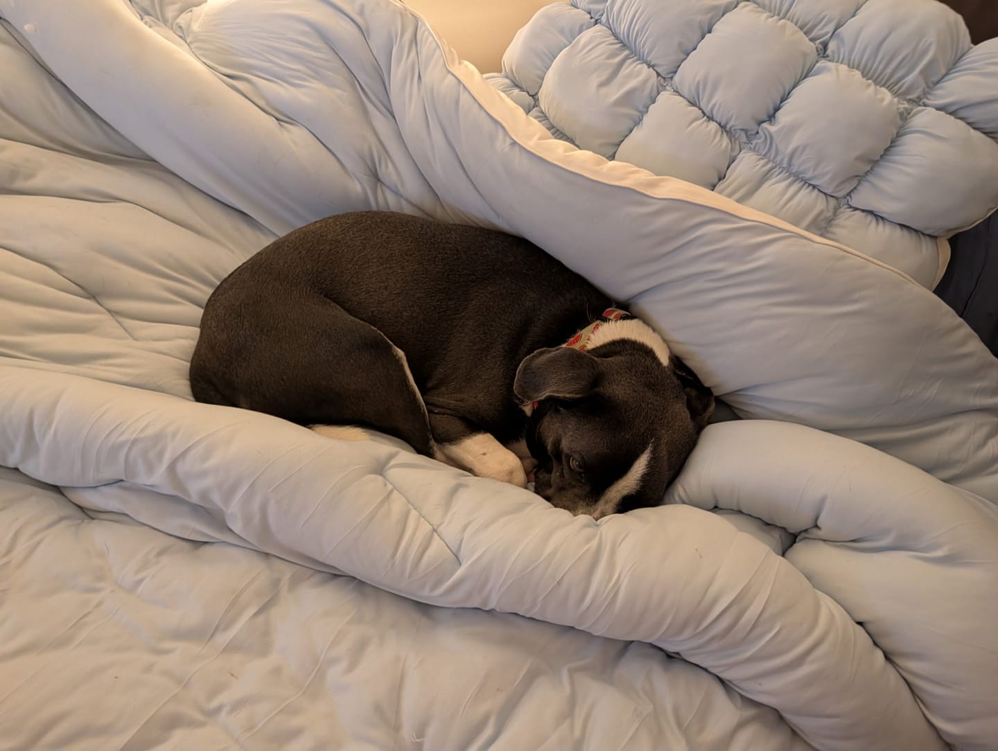 Customer photo review of Puff Pillow