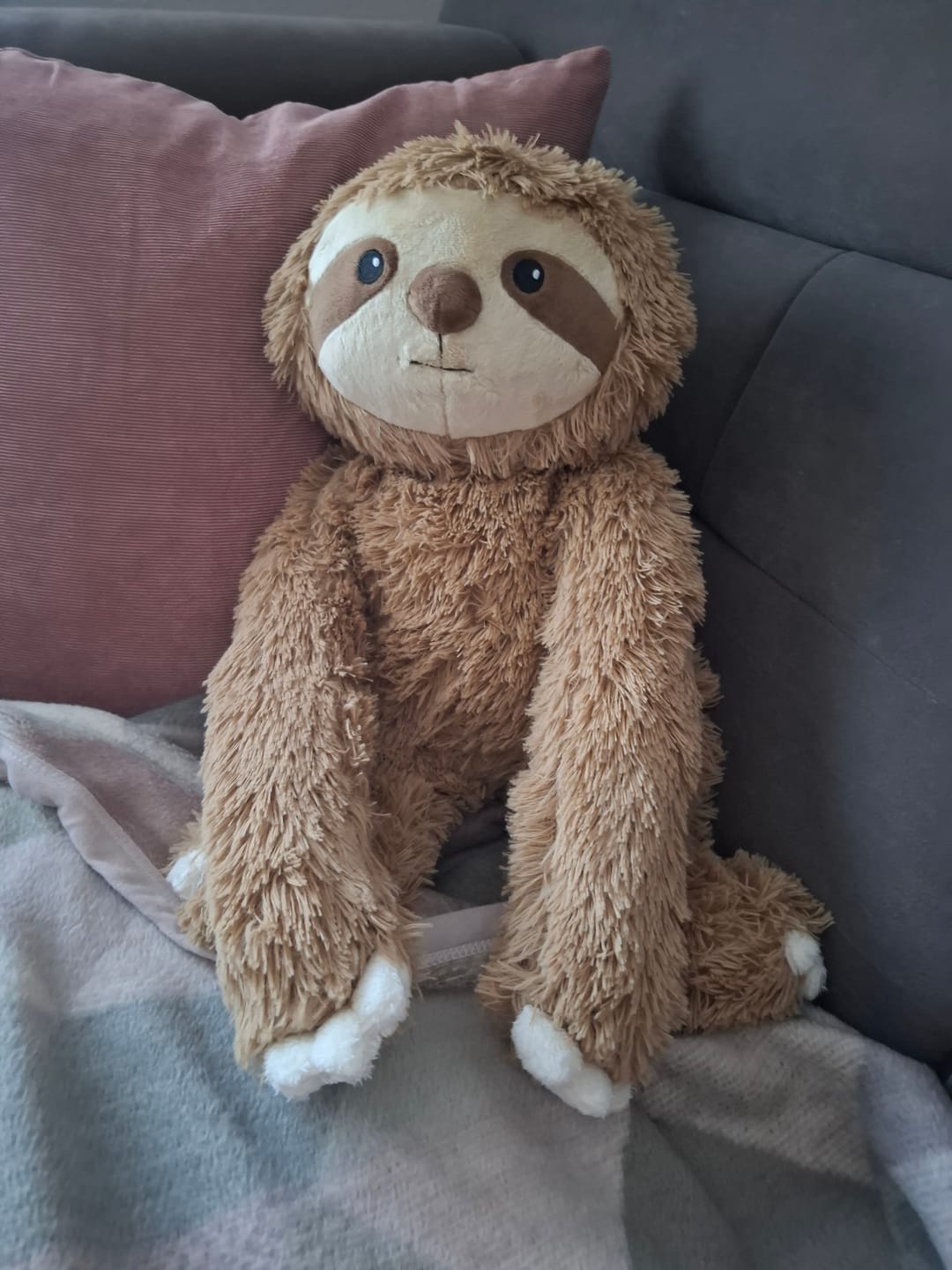 Customer photo review of Lotgenootje Luiaard 2,5kg