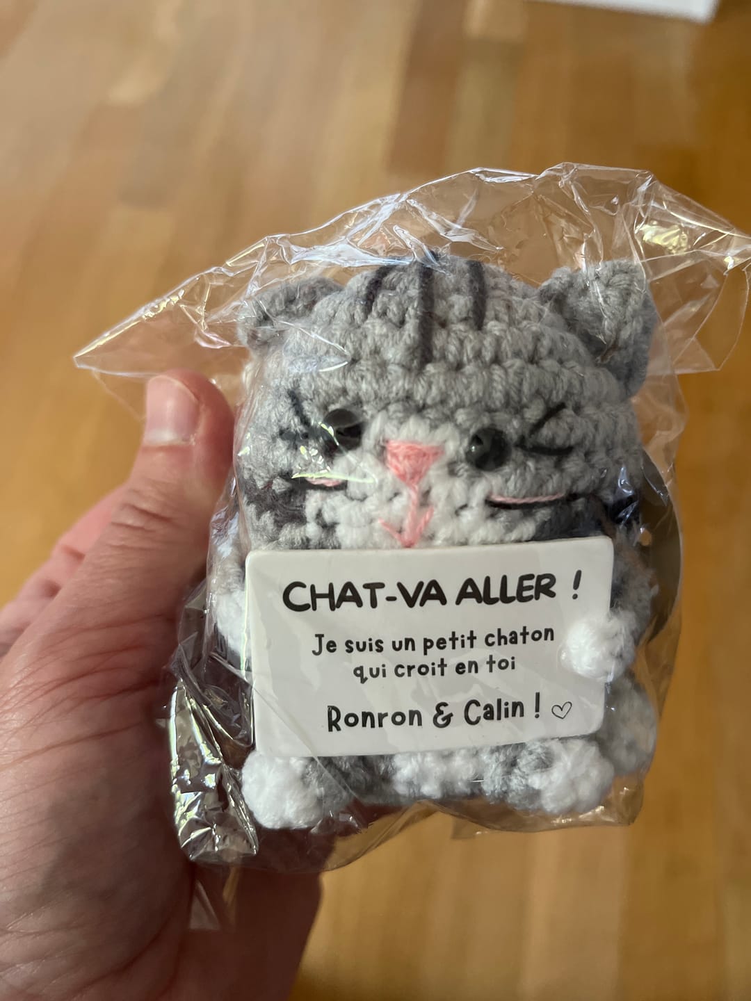 Customer photo review of CHATON POSITIF