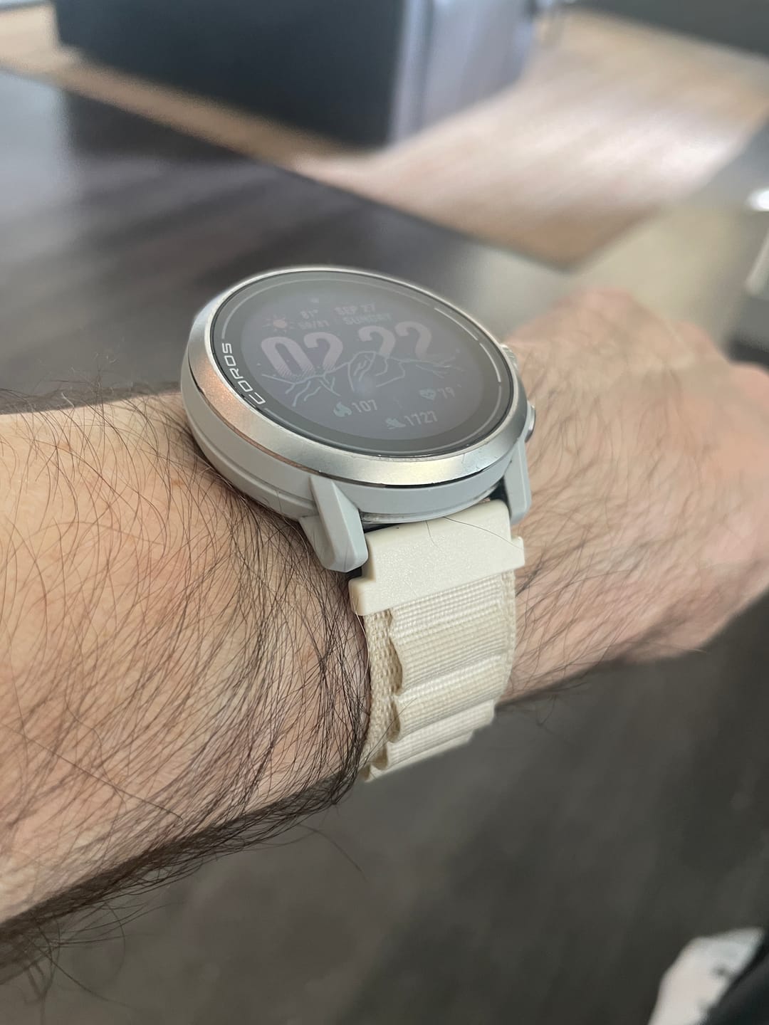 Customer photo review of COROS Alpine Loop Nylon Band - Adjustable Unisex Strap for Pace Pro and Pace 4