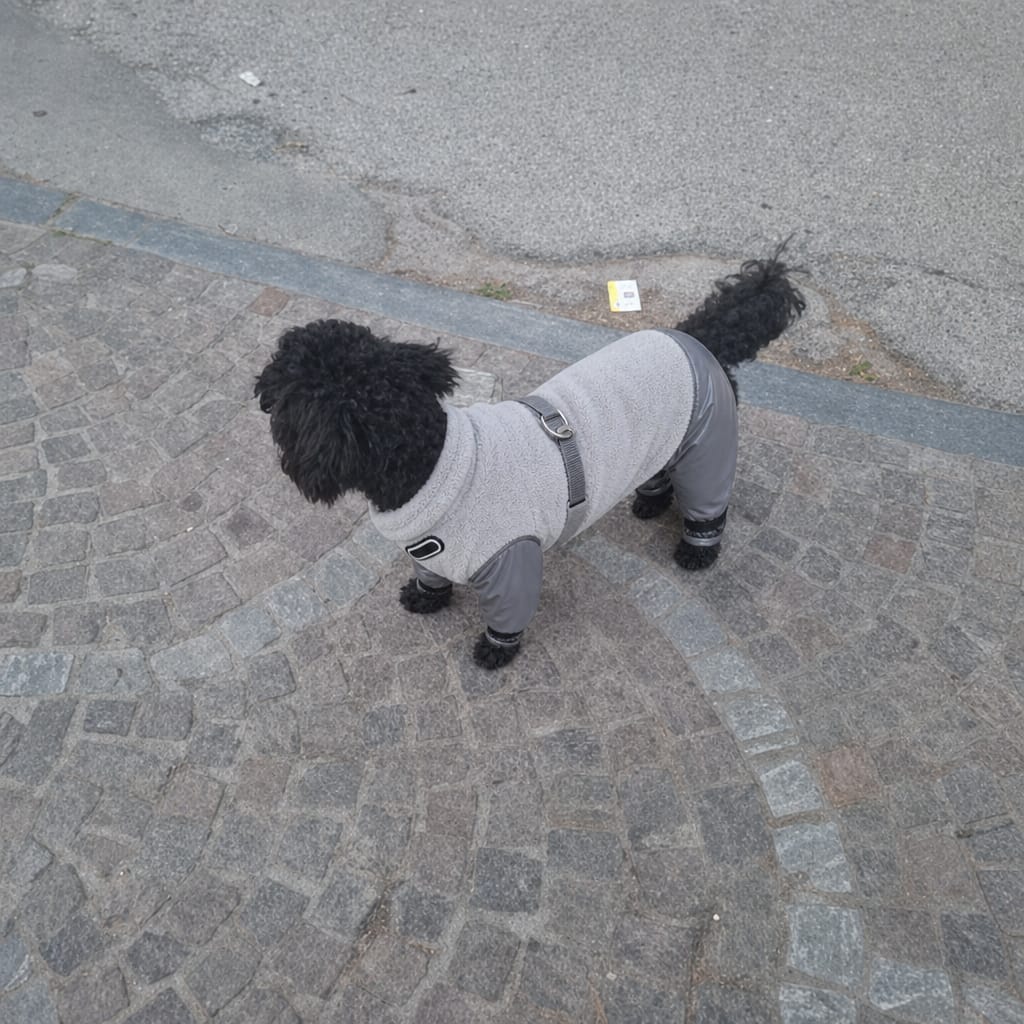 Customer photo review of WUFFEY™ Pet Winter Suit