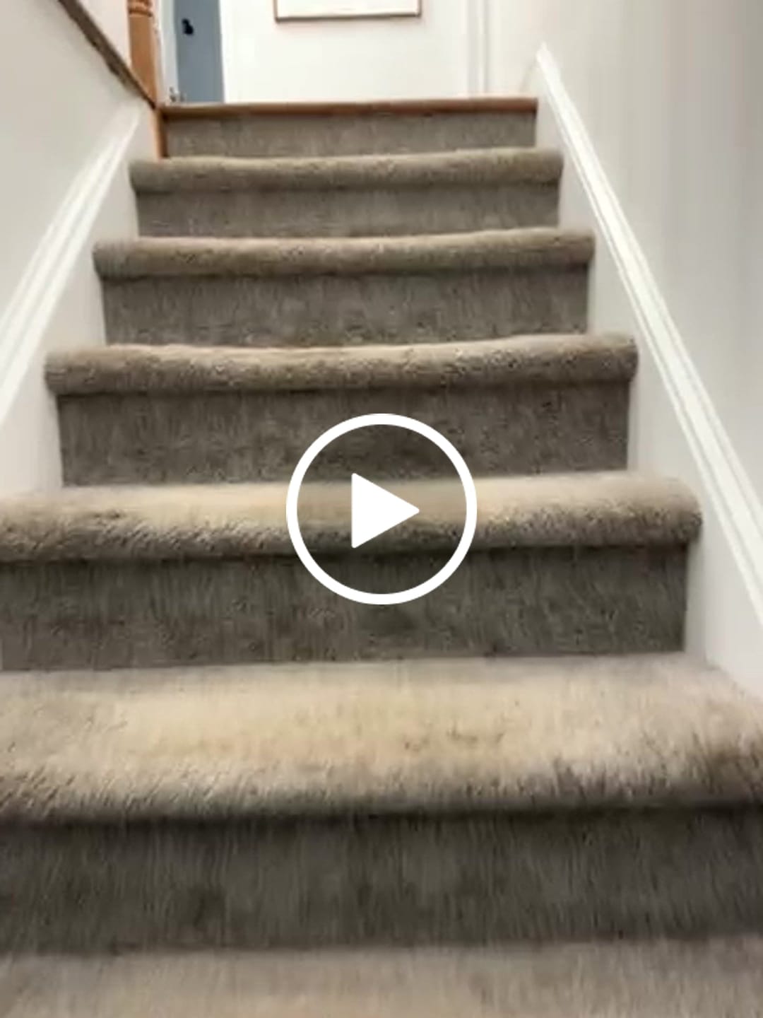 Customer video review of Custom House Portrait