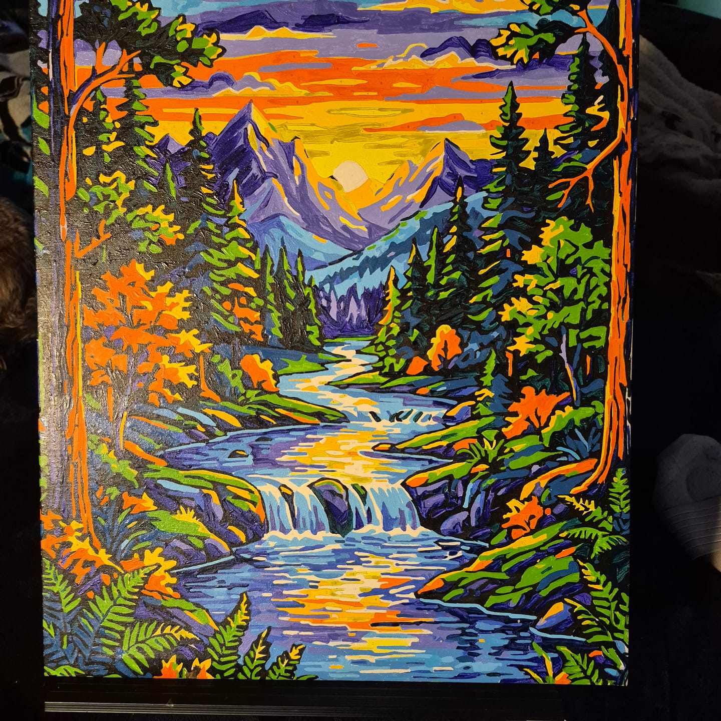 Customer photo review of Paint Your Photo
