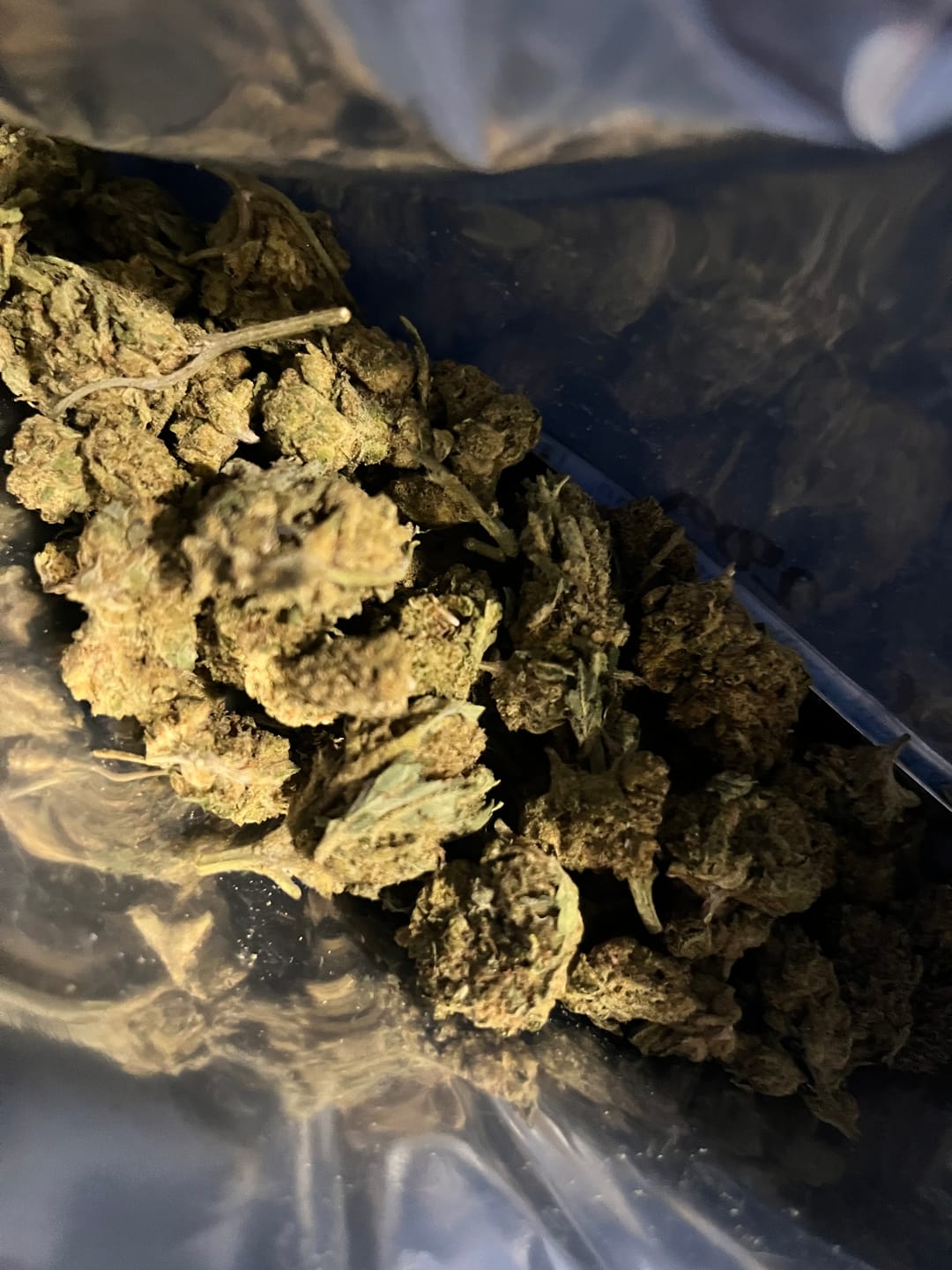 Customer photo review of Toadlato THCA Flower
